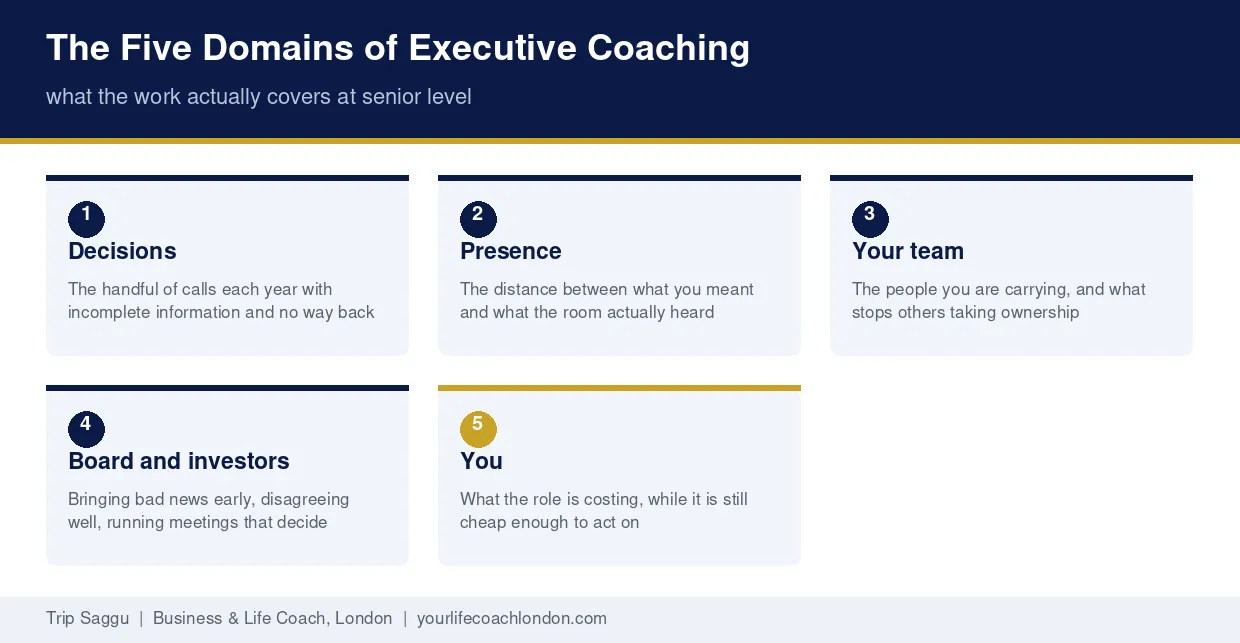 The Five Domains of Executive Coaching The five domains an executive coach works on: decisions, presence, team, stakeholders and sustainability